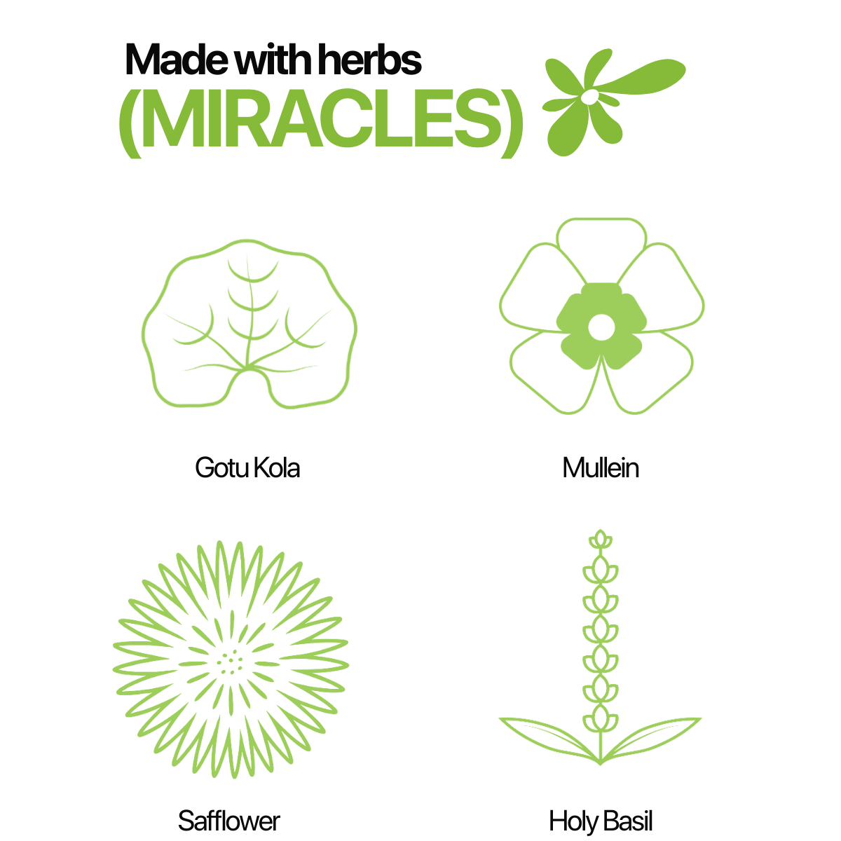 Herblunt sleepy blend ingredients Illustrations of Gotu Kola, Mullein, Safflower, and Holy Basil with text 'Made with herbs (MIRACLES)' on a white background.